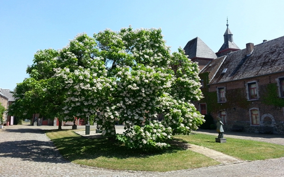 CHATEAU DE PETIT LEEZ